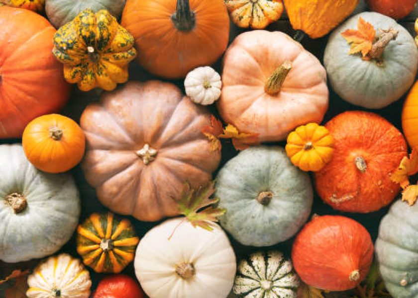 Various fresh ripe pumpkins as background, top view. Holiday decoration
